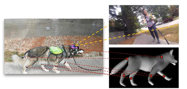 ���R�a�����d�����â����z�\AI���N�\��