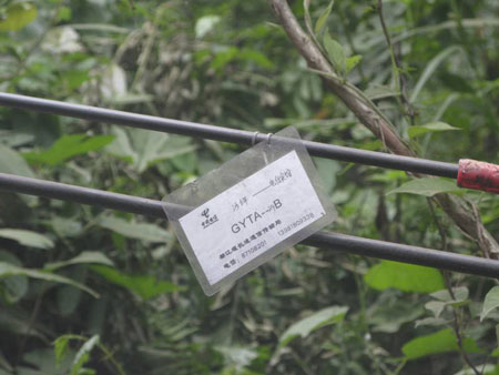 �`�o�o���[�t�y�ϒ����Y�qá�u�~�L�T�Y�qá�u�j