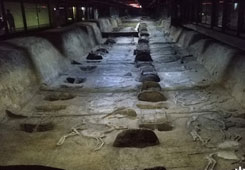 �y򳤤�Y�������b