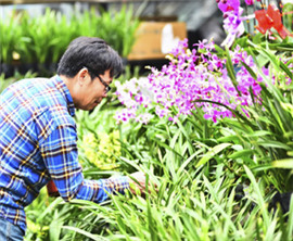 ���W�^������^��