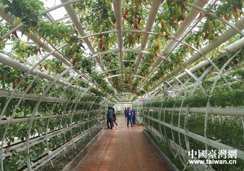 ���W���^������ԒƖE��ä�����d����è�|