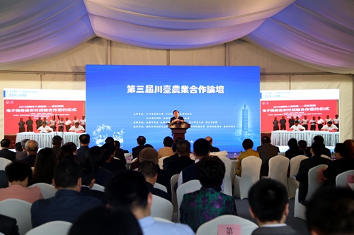 �����}��