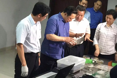 �����e�`�e�ߥ��e���~�W�s�������ʐ����ÔI�T����b�