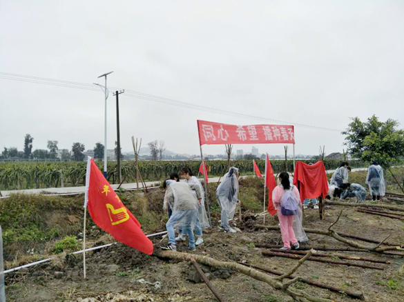 �L���� ���� ���P�n�ѡ�����2017�e�����y�e���ҧ�[���W���וV�ļZ�P�q�_���I�ŲM��ӼZ���o