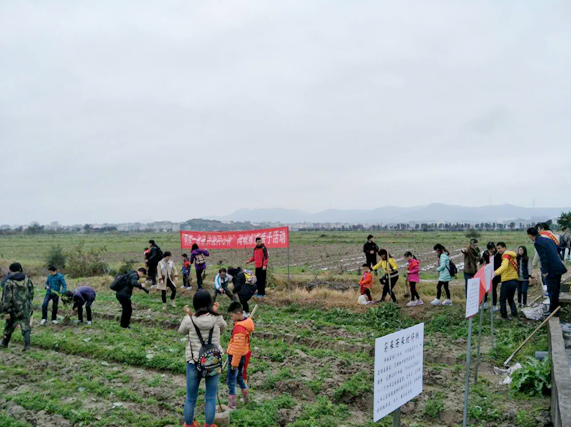 �L���� ���� ���P�n�ѡ�����2017�e�����y�e���ҧ�[���W���וV�ļZ�P�q�_���I�ŲM��ӼZ���o