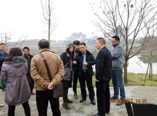 ���s�z��ӼZ���W�ɲ��S����I�s�z�}�i����\����