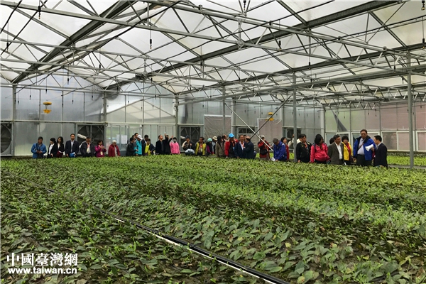 ��Ͳ���]�F�f�������ä���W�I �ƭ]�y ����