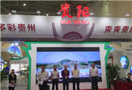 �Q������Ӭ��ѫG���L���ԖE�������w��Ƭ��è���|��