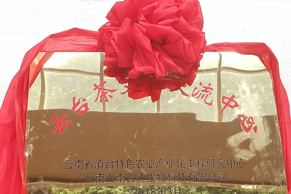 ��������ƥ�y���ߔI���h�����\���夤���p�P�K��