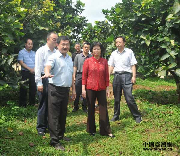 �������������s�����K��â���ː�����W������x����