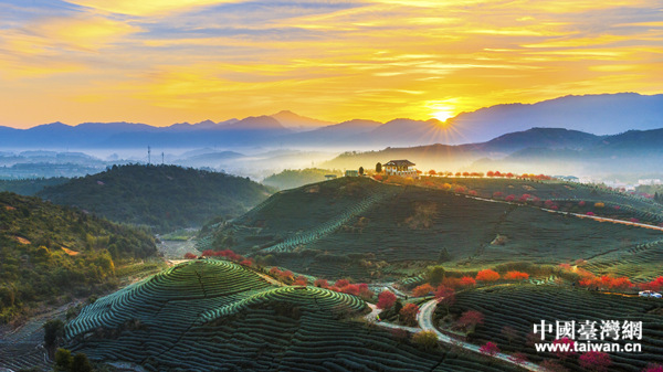 �Υ����ѿ������Z