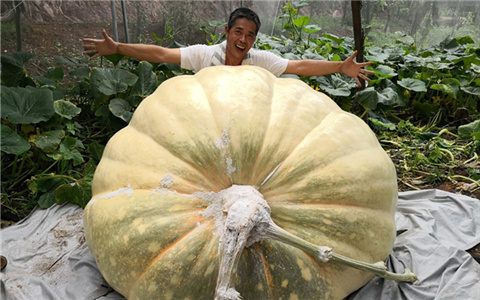 ���ϔI���b�P�|1040���h�� �ΩӤ�ä�{���h���ֻ�