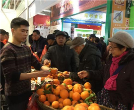 �������w�S�g�Ϭ��ѧ�i�̼w��è�|(��)