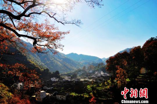 ���w�ǡo����Ϸ|���W�}�@�����N�n�����L�V�塲