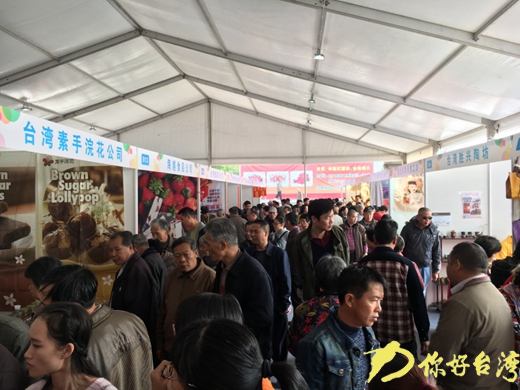 �����_�L�Y���W��