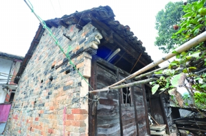 �B�n���t�s���W���F�j�ؔ��x���V�L��