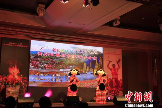 �K�[�����h���Γ������W����5�듯���ͶQ�b