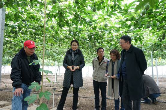 ���R: �B�w�h5.jpg