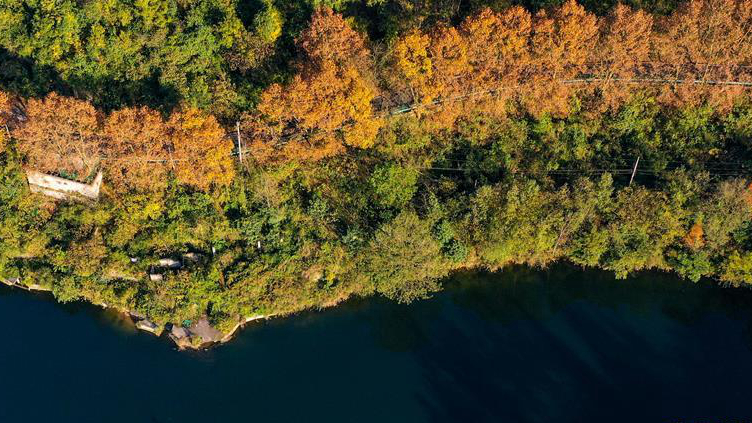 ���z�������K�W�e