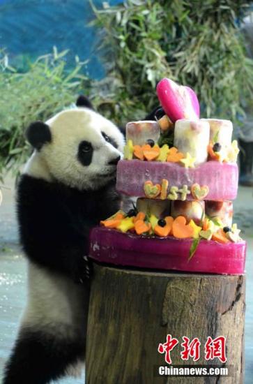 �L���n���R�������A ��f�z�L���r�e�ʡ�