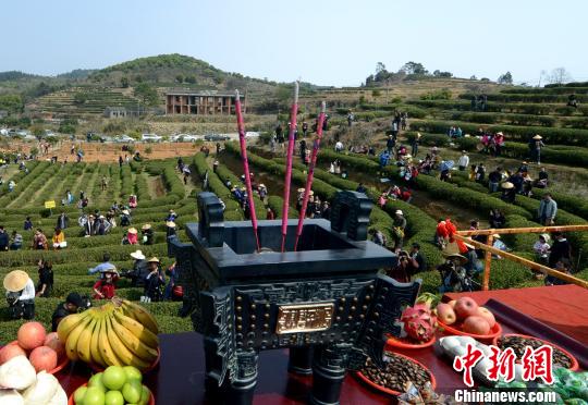 �����b�L�}�n�����ۡ� ���w�権�d��������Ƥ���