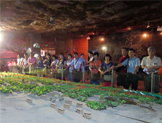 ���ʐ��夤�����չF����f���F��L�W�ϡ��y��