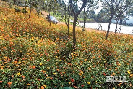 ���H�]�����h�����s�����d�{�{�_�լt���ʐ�