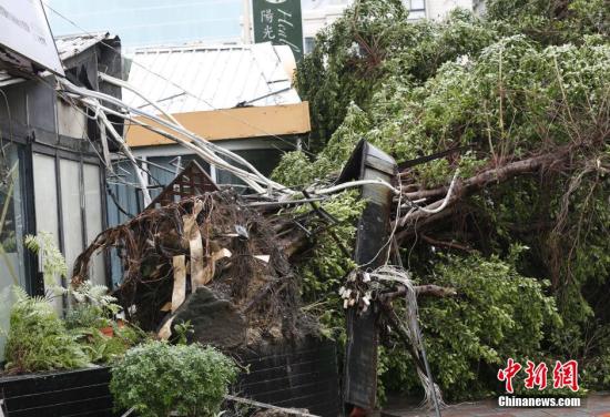 8��8��ޤ��e�{�j�����L�q�}�`�������W�K�L�q�}���������J���H�A�L�h�ϡ����W�ޕh����H��幮��޺I�t8��ؤ�1��30���ޒ��P6�˕j��4�˥��ڐ�101�˕�ݐ���n��Ť������ֳ�٩��~�� <a target='_blank' href='http://103.249.53.35/gate/big5/www.chinanews.com/'><p  align=