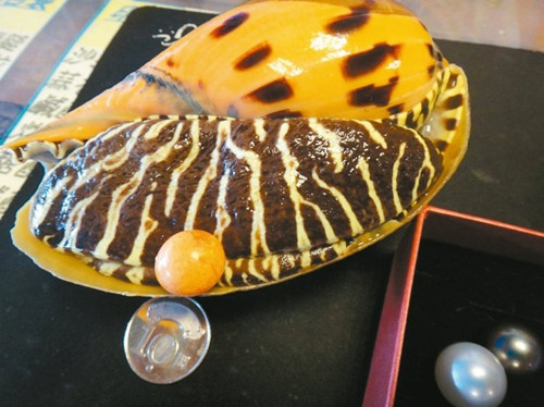 �F���y�͓|�L�ܸ�֢�����W�������lҦ�Q��ո}