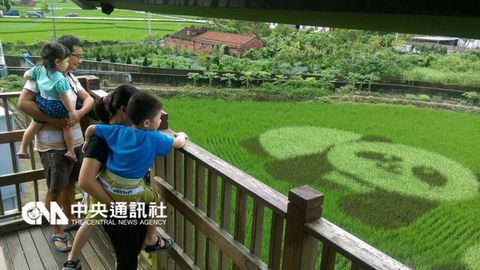 �ݡL��ø��С�(���W�L�����_���������[)