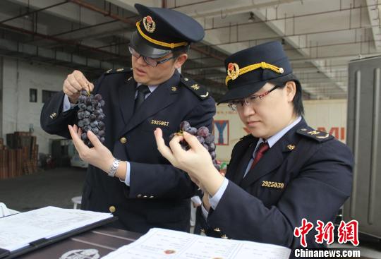 ���W���Q�������J���ʐ�