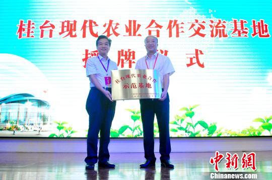 ��������������i��y�|���⥴�y�d���������