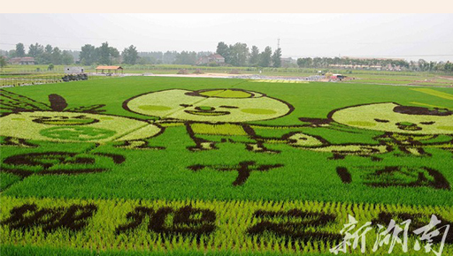 �������w�����ø���������@ ���������ø����