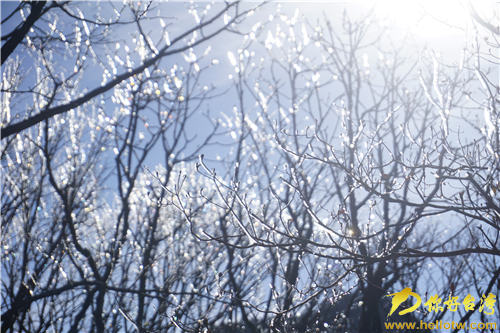 �z��W�������^�q �ˤB�t�E�ޣ��w�C�y�N����