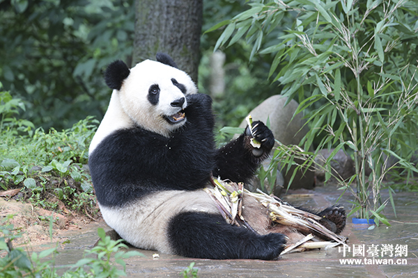 ���^��p������]�H�H