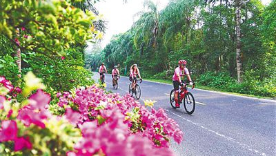 �z�����h�ޔ����l�o�����}