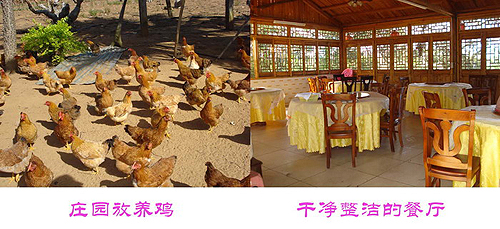 ����b�F�Y��Z ������n���w�Y�U���B