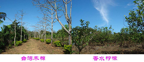 ����b�F�Y��Z ������n���w�Y�U���B