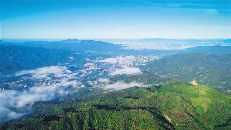 ��i��ʒ�ø�� ���ϤD��������