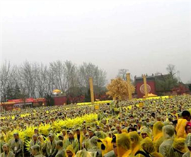 �A�W���êe�h�s���C���T�W�� �°��������