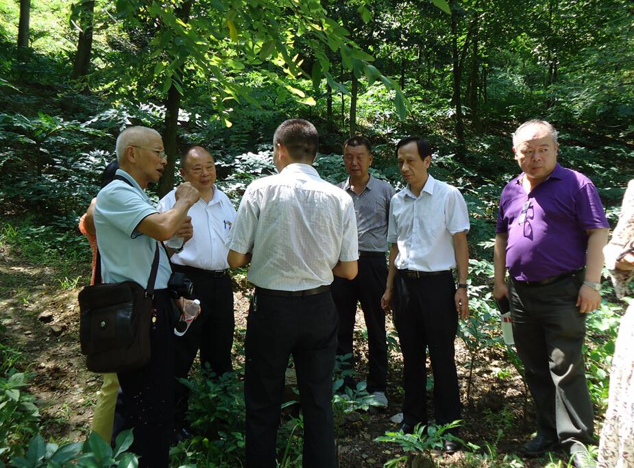 �Ѭz����ܷ|�գf��p�m���U�����