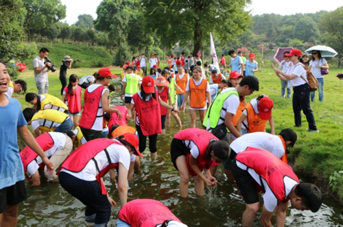 ���d�n���