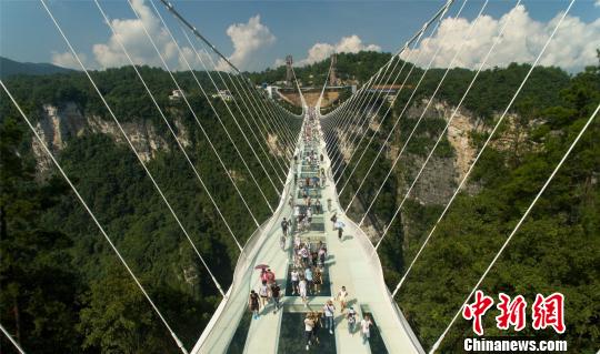 �ӒؔO�d�������Y�i���������e��������ݤ��ť� ��