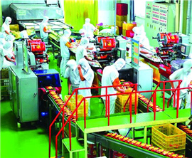 ��v���M�f���W���J���J���� ���3�f�ܤ��c�����H�H