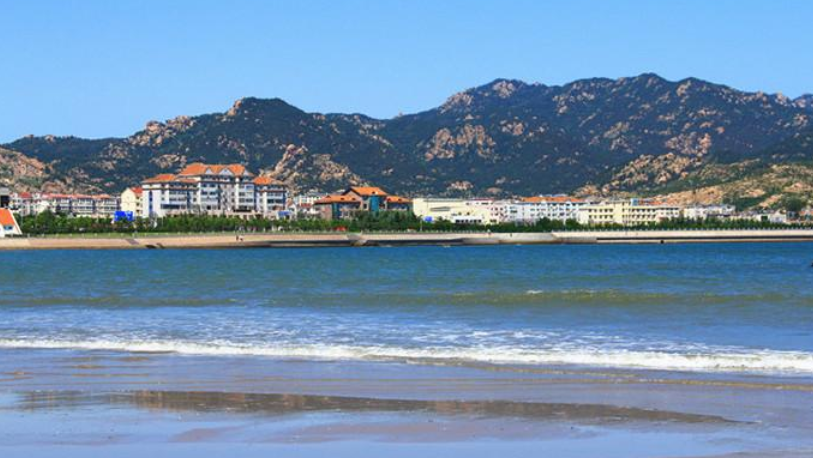 �h�O2020�e�ĶT�����W��53.8%