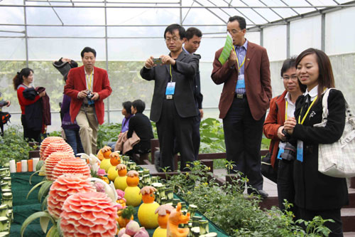 ���E���w�}�r���è���|�潔դ������ķ��¥ؕd