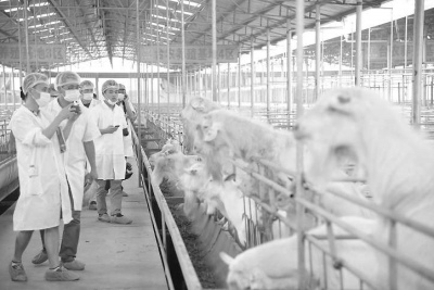 �����h�^����]�j�l�Z�H�H�㥤���ђ��Ͳ�d