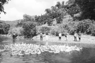 ���W�l��ܷ|�L�|�⡲�h�t�i����