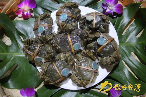 �]�ޱY�|���J�ɲ��\���Y�׭ɒ��h�X