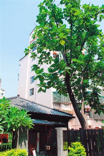 �G�t�Εg�͒��\�٢u���g�o����̐�